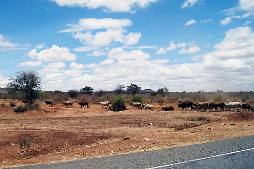 Kenia (22)